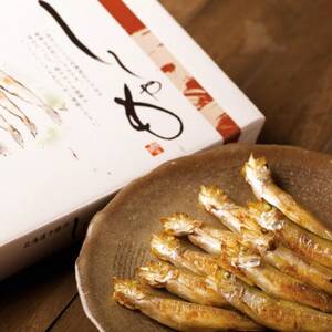 大樹漁組　天然ししゃも オス・メス30尾(MSサイズ)_魚介・海産物  鮮魚 _【配送不可地域：離島】【1404991】