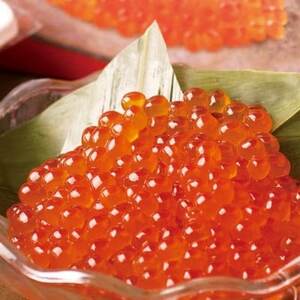 北海道産 鮭いくら醤油漬け 計500g(250g×2パック)【漁協直送】_魚介・海産物 いくら  イクラ_【配送不可地域：離島】【1423870】