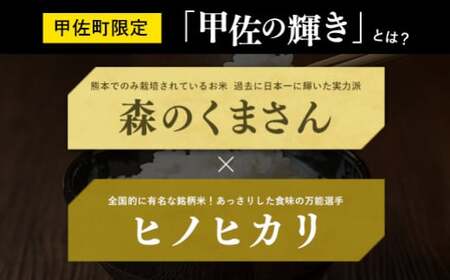 ★新米先行受付★令和６年産★『甲佐の輝き』無洗米10kg（5kg×2袋）【2024年10月以降より配送月選択可！】／出荷日に合わせて精米【価格改定ZB】