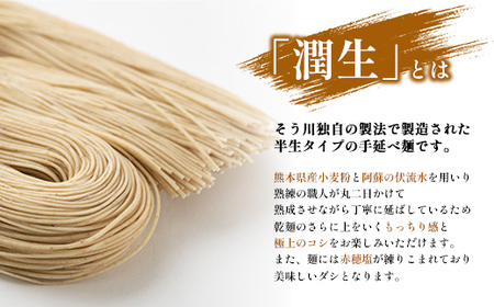 潤生麺詰合せ（秋冬）計８食入り - うどん そば そうめん にゅうめん 肥後そう川 熊本県 甲佐町