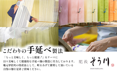 潤生麺詰合せ（秋冬）計８食入り - うどん そば そうめん にゅうめん 肥後そう川 熊本県 甲佐町