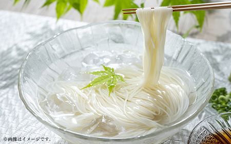 手延べそうめん - 素麺 そうめん 麺 冷麺 温麺 赤穂塩 手延 手延べ 熊本県 甲佐町 肥後そう川【価格改定】