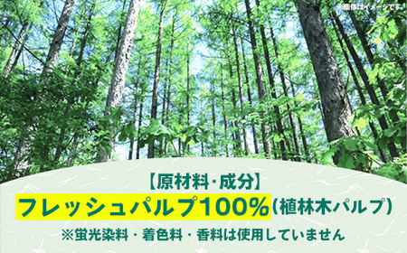 ティッシュペーパーソフトパック 400枚(200組)60パック - ソフトパック ティッシュ ペーパー 生活用品 雑貨 日用品 必需品 紙 常備品 まとめ買い 備蓄 防災 ストック 熊本県 甲佐町【ZA】【価格改定】