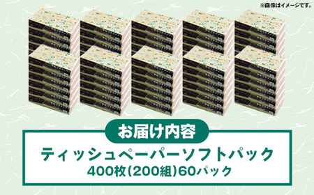 ティッシュペーパーソフトパック 400枚(200組)60パック - ソフトパック ティッシュ ペーパー 生活用品 雑貨 日用品 必需品 紙 常備品 まとめ買い 備蓄 防災 ストック 熊本県 甲佐町【ZA】【価格改定】