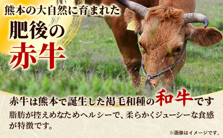 熊本県産　和牛　肥後の赤牛　ヒレステーキ300ｇ