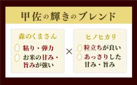 令和６年産★【定期便3ヶ月】『甲佐の輝き』無洗米16kg×3ヶ月（5kg×2袋、6kg×1袋）【2025年1月より配送月選択可！】【価格改定ZH】