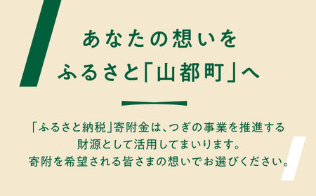 【応援寄附金】熊本県 山都町 ふるさとづくり 返礼品なし ふるさと納税 応援寄附金 応援寄付金 ふるさと応援 返礼品なし 返礼品無し (3,000円分)[YZZ012] 3000 3,000 3000円 3,000円