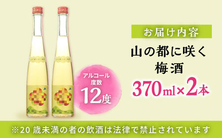 【梅酒品評会受賞】 山の都に咲く梅酒 370ml 2本 お酒 地酒 梅酒 お中元 お歳暮 熊本県 山都町【通潤酒造株式会社】[YAN047]