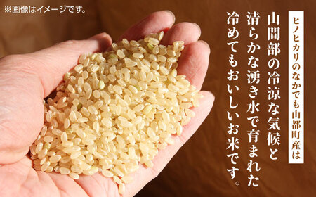 熊本県 山都町産 ひのひかり 玄米 30kg 熊本 玄米 熊本県産 ひのひかり ヒノヒカリ ヒノヒカリ玄米 大容量玄米 玄米30キロ げんまい 山都町  熊本【株式会社 米久】[YDB002] | 熊本県山都町 | ふるさと納税サイト「ふるなび」