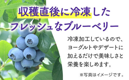 【専用】②購入前にコメントお願い致します様　冷凍とちおとめブルーベリー　各3キロ 楽天市場】オーガニック 冷凍 ワイルドブルーベリー 1kg 3kg 4kg