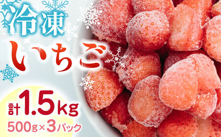 【数量限定】 冷凍 いちご 計1.5kg ( 500g × 3P ) 農園直送 産地直送 熊本県産 山都町産 イチゴ 苺 ストロベリー フルーツ 果物 冷凍いちご 【なかはた農園】[YBI005]