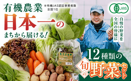 有機野菜 オーガニック 12種 野菜セット 野菜 有機JAS認定 詰め合わせ オーガニック野菜 熊本県産 山都町産 産地直送 有機野菜 熊本直送 有機野菜 【株式会社 肥後やまと】[YAF001]