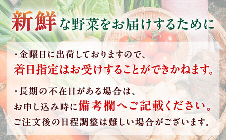 有機野菜 オーガニック 12種 野菜セット 野菜 有機JAS認定 詰め合わせ オーガニック野菜 熊本県産 山都町産 産地直送 有機野菜 熊本直送 有機野菜 【株式会社 肥後やまと】[YAF001]