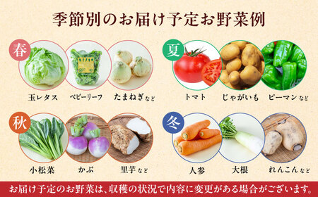 有機野菜 オーガニック 12種 野菜セット 野菜 有機JAS認定 詰め合わせ オーガニック野菜 熊本県産 山都町産 産地直送 有機野菜 熊本直送 有機野菜 【株式会社 肥後やまと】[YAF001]