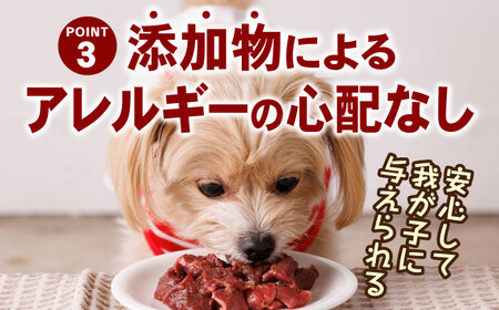 犬用馬肉切り落とし5kg-