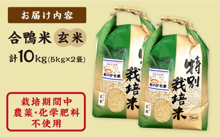 先行予約】【令和6年産】合鴨米 玄米 計10kg ( 5kg × 2袋 ) 米作り名人完ちゃんの合鴨米 栽培期間中農薬化学肥料不使用 熊本産  熊本産合鴨米 山都町産合鴨米 九州産合鴨米 玄米 合鴨米 玄米 熊本玄米 九州玄米 山都町玄米 玄米10キロ 九州産玄米 熊本県産玄米 熊本産玄米  ...