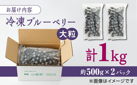 【数量限定】冷凍ブルーベリー 大粒 計1kg (約500g×2パック) 熊本県産 山都町産 ブルーベリー フルーツ スムージー 果物 小分け 国産【興梠農園】[YBQ003]