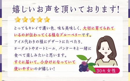 【数量限定】冷凍ブルーベリー 小粒 計1.5kg (約500g×3パック) 熊本県産 山都町産 ブルーベリー フルーツ スムージー 果物 小分け 国産【興梠農園】[YBQ004]