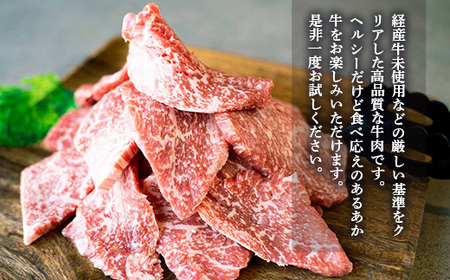 GI認証 くまもとあか牛 焼肉用 あか牛切り落とし 計600g (300g×2P