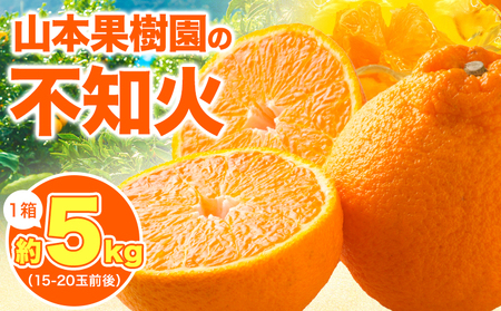 不知火 約5kg 1箱 15-20玉前後 山本果樹園《2月末-5月末頃出荷予定》しらぬい 熊本県 氷川町 柑橘