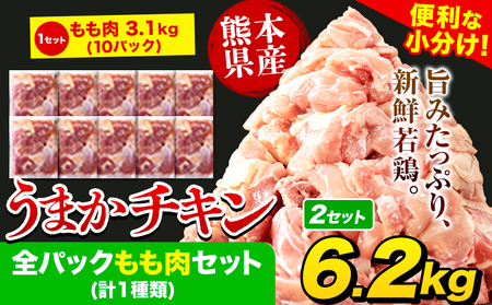 鶏肉 もも肉 合計6.2kg 鶏肉 モモ肉 うまかチキン《7-14日以内に出荷予定(土日祝除く)》