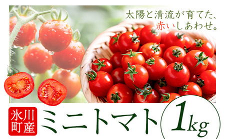 ミニトマト 約1kg 氷川アグリクラブ トマト 熊本《2月上旬-4月末頃出荷》熊本県 氷川町 野菜 熊本県産 サラダ プチトマト 国産