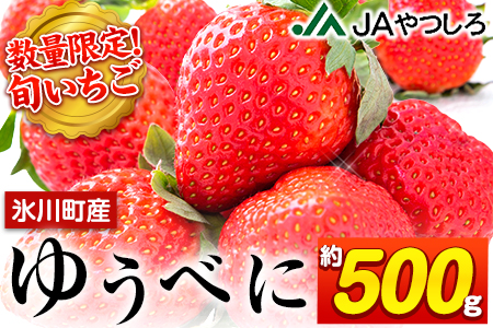 数量限定 ゆうべに 約500g 約255g 2パック Dx 3lサイズ 熊本県氷川町産 ゆうべに いちご 1月上旬 2月下旬頃より順次出荷 Jaやつしろ和鹿島いちご部会 熊本県氷川町 ふるさと納税サイト ふるなび