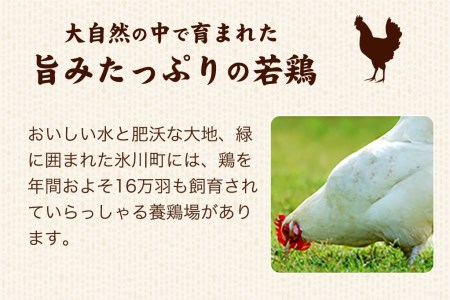 熊本県産 若鶏むね肉 約2kg/もも肉 約2kg 各1袋 たっぷり大満足！計4kg！《30日以内に出荷予定(土日祝除く)》 鶏肉 とりにく チキン 冷凍