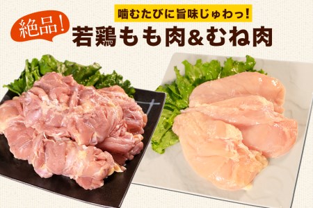 熊本県産 若鶏むね肉 約2kg/もも肉 約2kg 各1袋 たっぷり大満足！計4kg！《30日以内に出荷予定(土日祝除く)》 鶏肉 とりにく チキン 冷凍