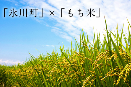 もち米焼酎「火の君浪漫」2本セット 720ml×2本 40度 熊本県氷川