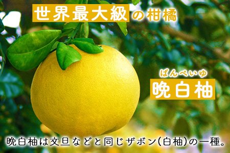 晩白柚スイーツセット ゼリー プリン はちみつドリンク 道の駅竜北 《60日以内に出荷予定(土日祝除く)》