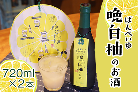 「はやし屋」の晩白柚のお酒 2本セット 熊本県氷川町産《30日以内に出荷予定(土日祝除く)》