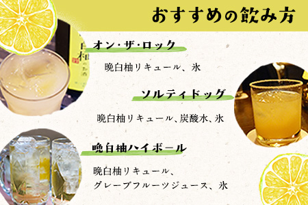 「はやし屋」の晩白柚のお酒 2本セット 熊本県氷川町産《30日以内に出荷予定(土日祝除く)》