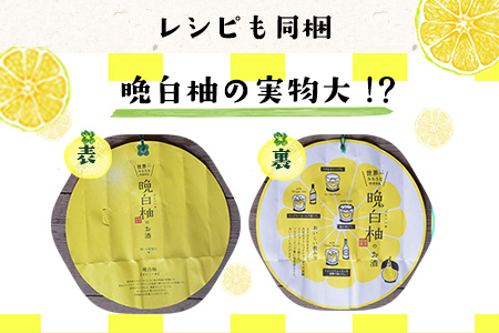 「はやし屋」の晩白柚のお酒 2本セット 熊本県氷川町産《30日以内に出荷予定(土日祝除く)》