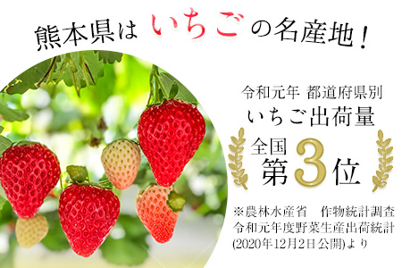 ひのしずく ゆりカ ゴ 3g 12 15玉 Dx 4lサイズ 熊本県氷川町産 1月上旬 2月下旬頃より順次出荷 ひのしずく いちご Jaやつしろ和鹿島いちご部会 熊本県氷川町 ふるさと納税サイト ふるなび ひのしずく ゆりカ ゴ 3g 12 15玉 Dx 4lサイズ 熊本県氷川町産 1月上旬 2月下旬頃より順次出荷 ひのしずく いちご Jaやつしろ和鹿島いちご部会 熊本県氷川町 ふるさと納税サイト ふるなび