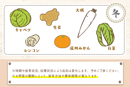 3か月定期便】旬の新鮮野菜・果物詰合せセット (計3回お届け)たっぷり8