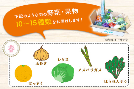 【6ヶ月定期便】 旬の新鮮野菜・果物詰合せセット(計6回お届け) たっぷり10-15品目 熊本県氷川町産 道の駅竜北《お申込み月の翌月から出荷開始》