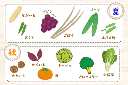 【6ヶ月定期便】 旬の新鮮野菜・果物詰合せセット(計6回お届け) たっぷり10-15品目 熊本県氷川町産 道の駅竜北《お申込み月の翌月から出荷開始》