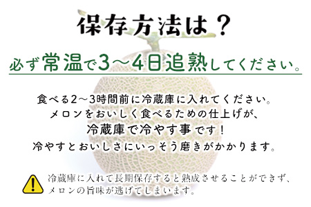 先行予約 肥後グリーンメロン 5l2玉 熊本県氷川町産 道の駅竜北 6月上旬 6月末頃より順次出荷 フルーツ アンテナ付き 贈答 期間限定 熊本県氷川町 ふるさと納税サイト ふるなび