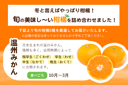 柑橘詰め合わせセット(5種類・10kg以上) 《12月上旬-1月上旬頃出荷予定》山本果樹園 果物 フルーツ みかん 
