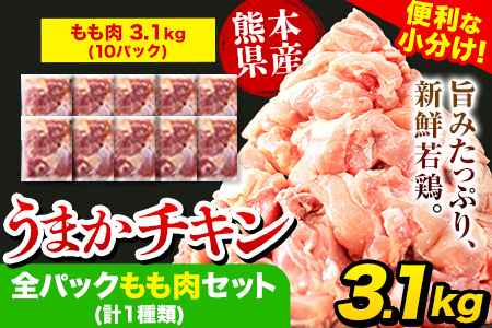 【ふるなびWEEK対象】鶏肉 もも 合計3.1kg(310g×10袋) FN-Limited-PR