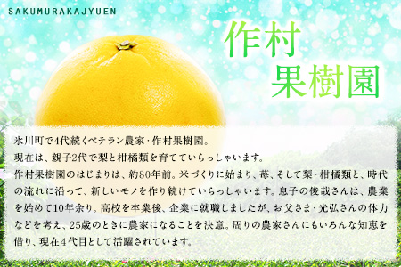 作村果樹園の晩白柚 4玉(2Lサイズ) 《12月下旬-1月末頃出荷》果物 フルーツ ザボン 熊本 特産品