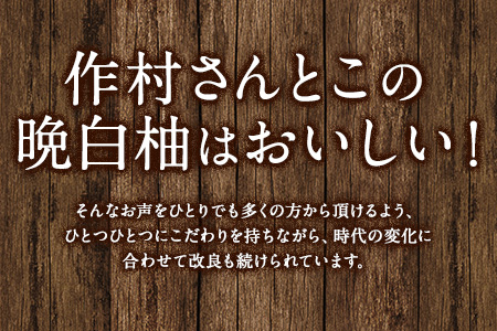 作村果樹園の晩白柚 4玉(2Lサイズ) 《12月下旬-1月末頃出荷》果物 フルーツ ザボン 熊本 特産品