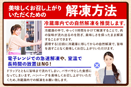 ステーキマニア監修 熊本県産あか牛100%生ハンバーグ 140g×13個入り 合計1820g 1.82kg以上《2026年1月中旬-3月末頃出荷》熊本県産あか牛 バイキングベーカリー 冷凍