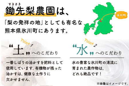 熊本県氷川町産 鋤先梨農園の梨 約3kg 鋤先梨農園 9月上旬 10月下旬より順次出荷 熊本県 氷川町 あきづき 甘太 新高 新興 旬 熊本県氷川町 ふるさと納税サイト ふるなび