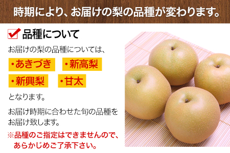 熊本県氷川町産 鋤先梨農園の梨 約3kg 鋤先梨農園 9月上旬 10月下旬より順次出荷 熊本県 氷川町 あきづき 甘太 新高 新興 旬 熊本県氷川町 ふるさと納税サイト ふるなび