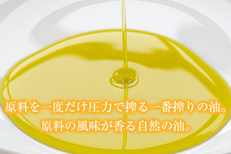 「堀内製油」の地あぶら（なたね油）1650g×6本 【定期便】計2回 熊本県氷川町産《お申込み月翌月以降の出荷月から出荷開始》