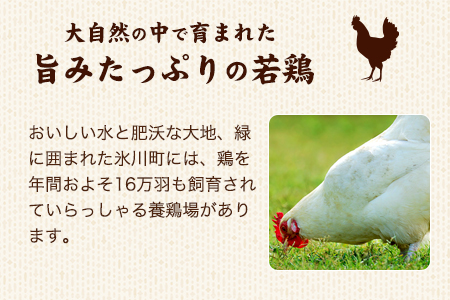 熊本県産 若鶏手羽元 約4kg 2kg×2P 《30日以内に出荷予定(土日祝除く)》