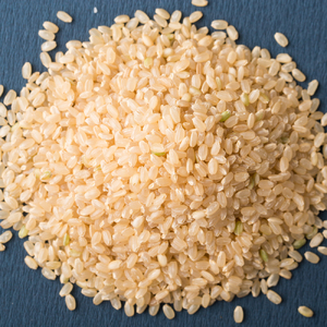 B224-36 にこまる　匠の米玄米１０ｋｇ