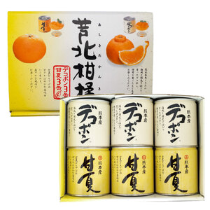 B268-07 芦北柑橘6缶入